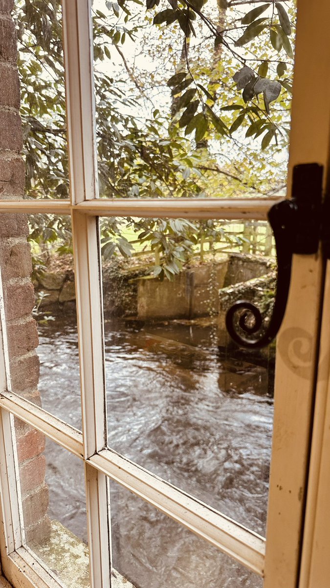 Brixham's tweet image. #picoftheday Look through any window… what do you see!