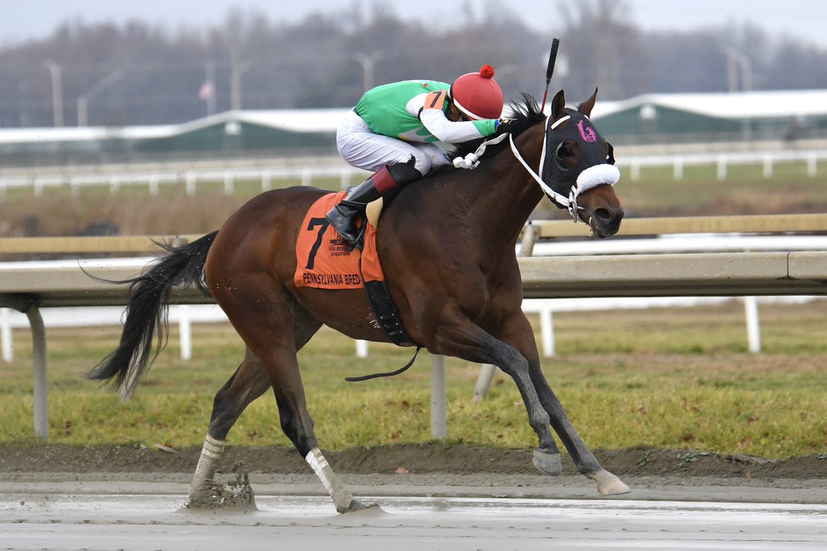 PA Bred tweet media