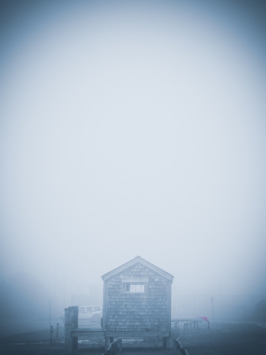 dariusaniunas's tweet image. Fog turning familiar scenes into secrets.
#wellfleet #capecod