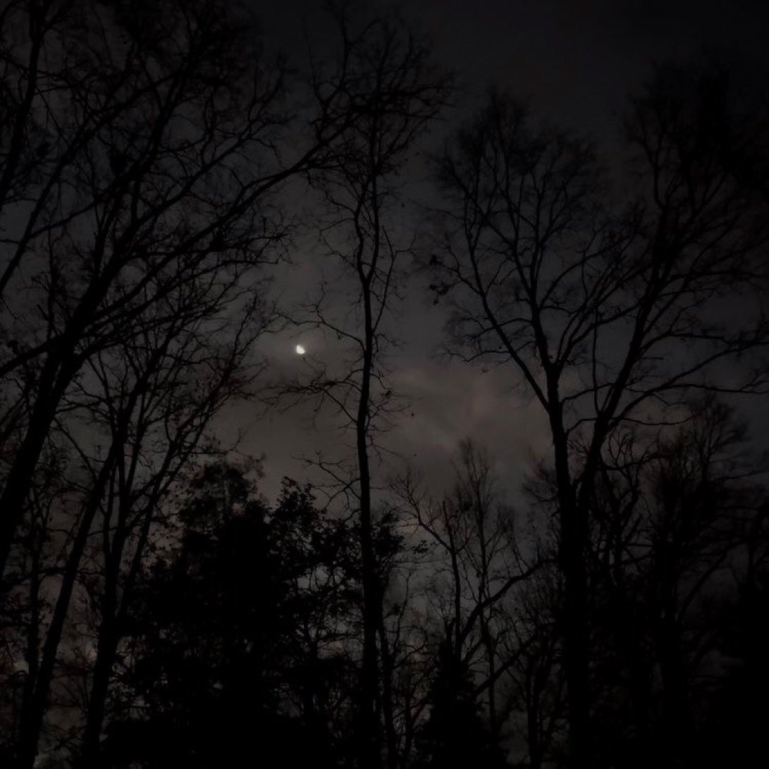 razan (@rozllvx) on Twitter photo 