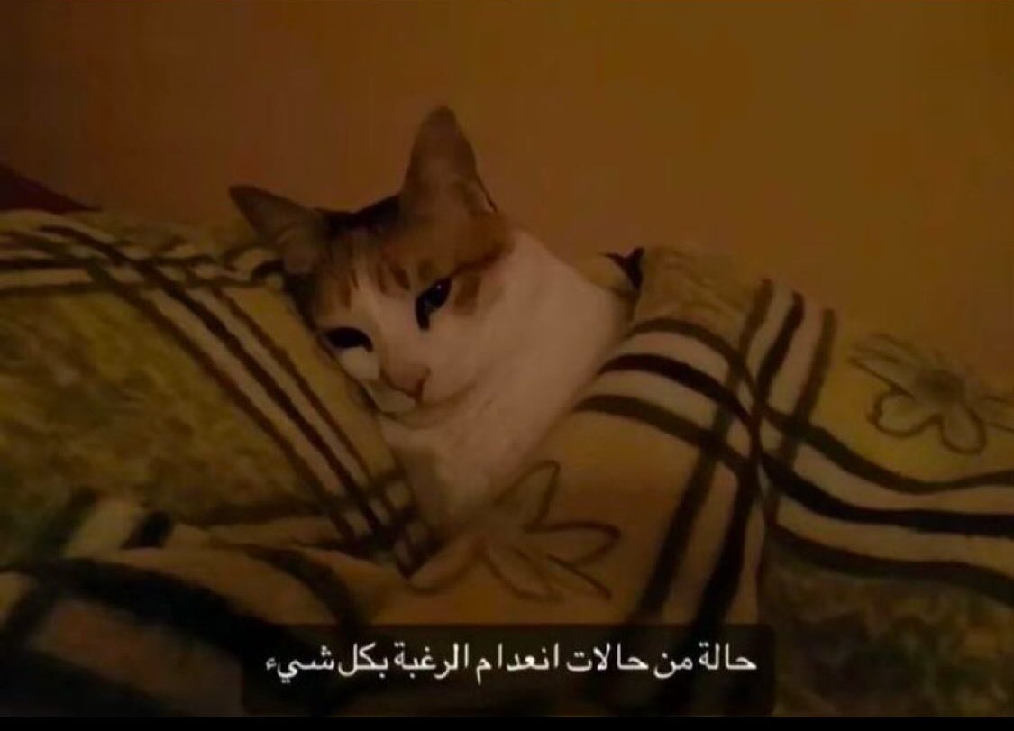 it's dark inside (@mdduo) on Twitter photo 