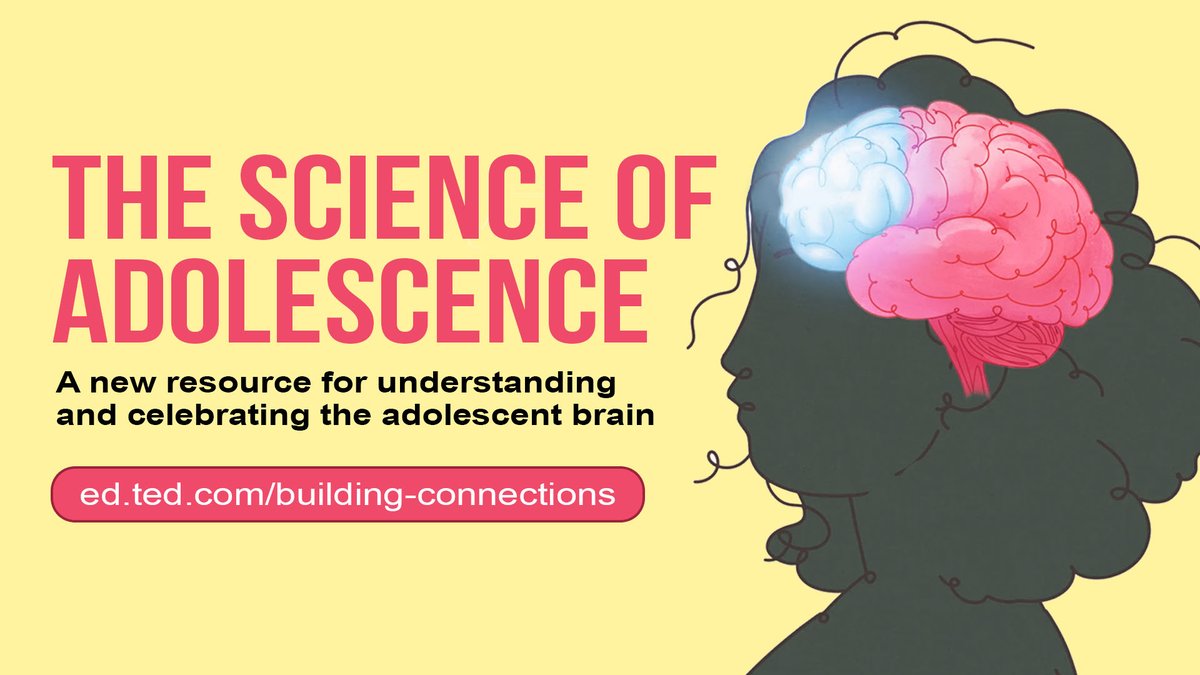 TED_ED's tweet image. The adolescent brain is spectacular!

Understanding how it works can help us facilitate positive development and make healthier decisions. Learn more about the remarkable potential of these formative years: t.ted.com/BTugjoJ