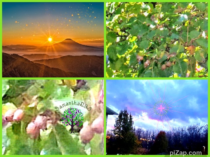 mpcaa14's tweet image. Nature!💚🏞🌳🏙💙🌻 #piZap #collage #mpcaa14 #sr25 #trees #piZapcollage #xcollage #art #photography #collagesofx #piZapartist