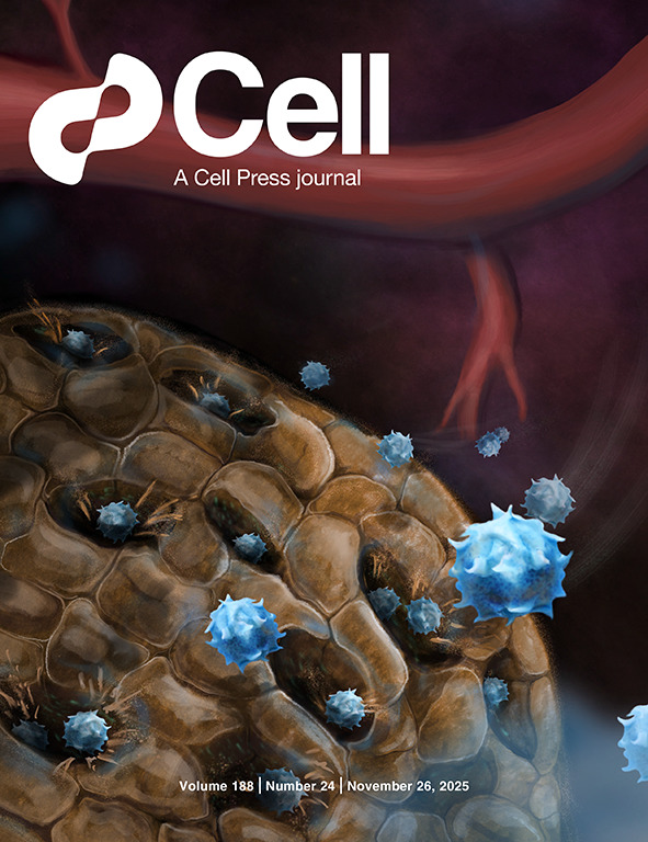 For successful immunotherapy to kill cancer cells, CD8+ T cells (in blue) get into pockets (antigen rich) on the surface of the tumor (here melanoma, in brown) cell.com/cell/fulltext/…