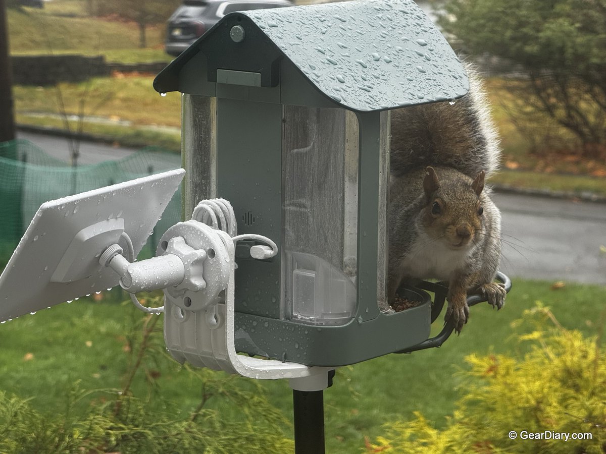 Kiwibit Beako Smart Bird Feeder Review: Beautiful Design, Great Camera, but Beware the Squirrels geardiary.com/2025/11/26/kiw…