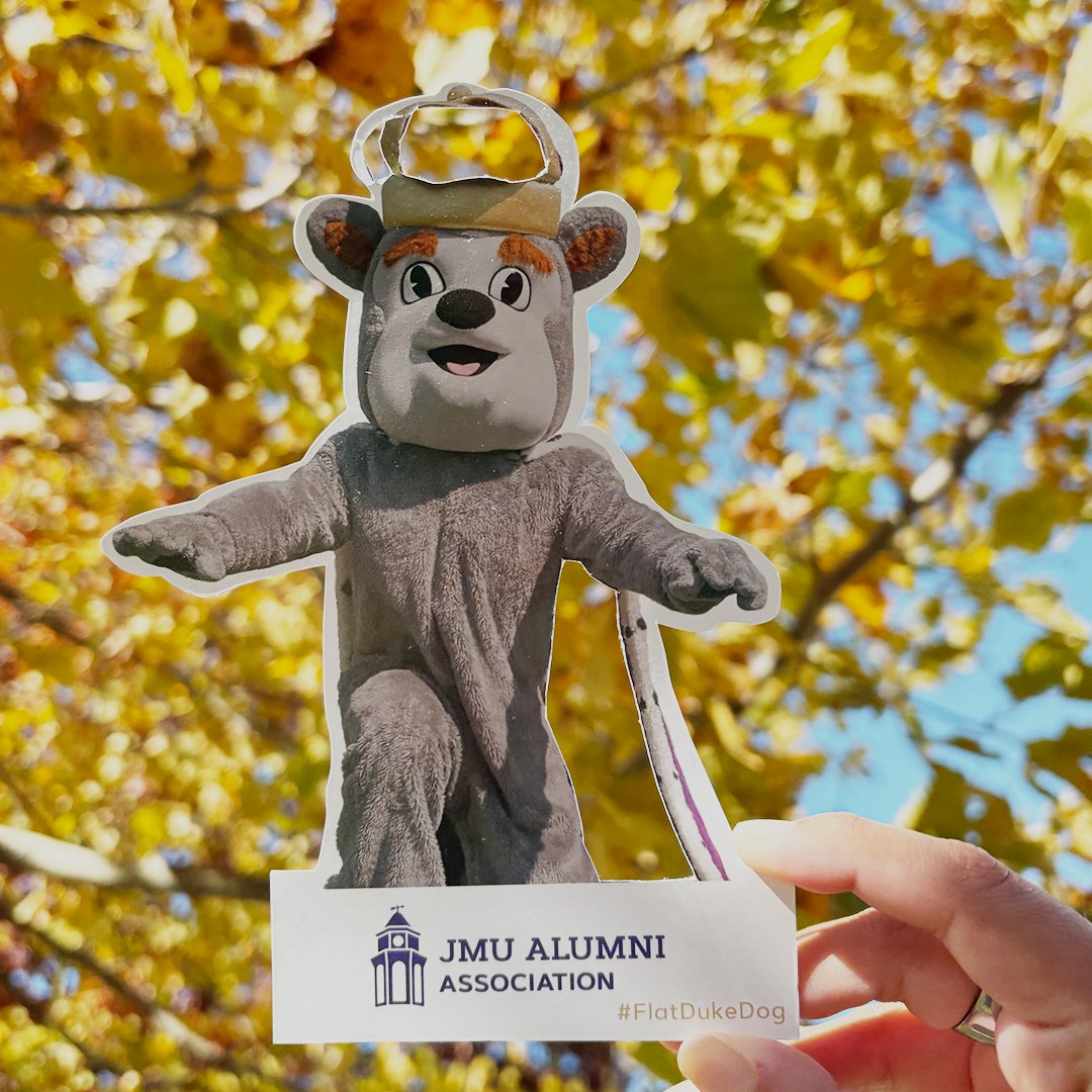 Duke Dog found the perfect golden backdrop this Wednesday! 

Want to join in the fun? Grab your Flat Duke Dog and share your fall photos: alumni.jmu.edu/s/1591/18/inte…

#WhereIsDukeDog #FlatDukeDog #JMUDukes