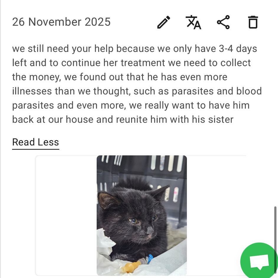 mia ✧ (@ragnvinrd) on Twitter photo 