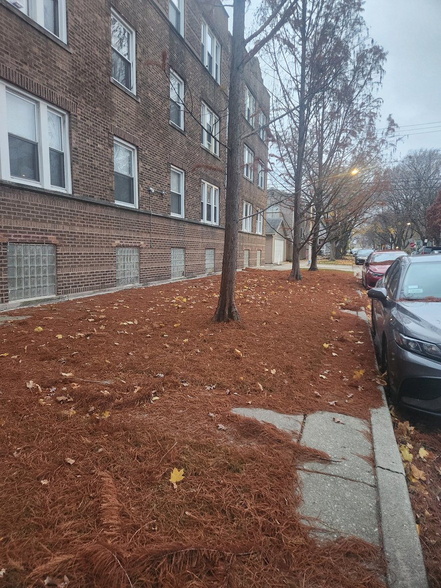 Dom (@domonater7_) on Twitter photo 