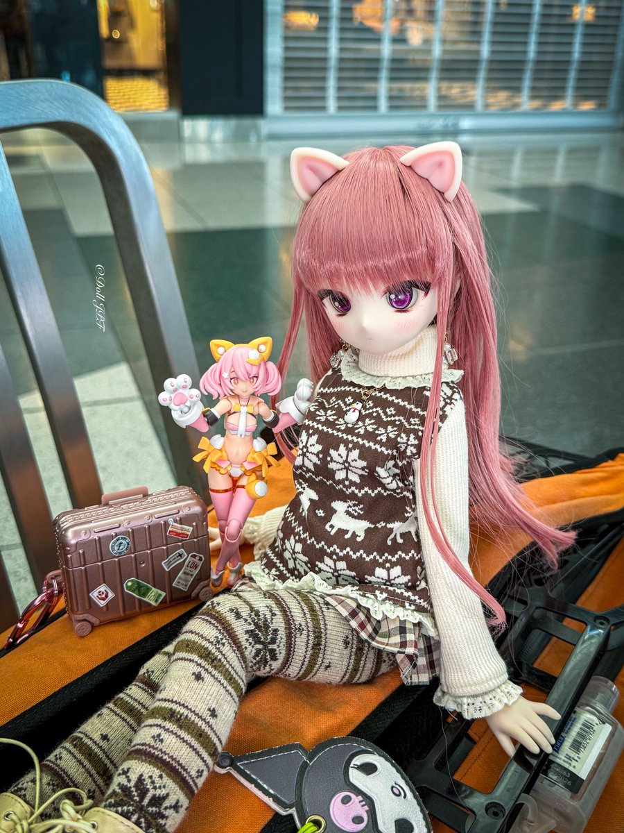 AndroidPDF's tweet image. 瀬菜ちゃん: にゃ💕ヾ(Φ∀Φ)/

Sena-chan: nya💕 ヾ(Φ∀Φ)/

#kikonchi #とかっこ #mdd瀬菜 #punimofu #dolljpf