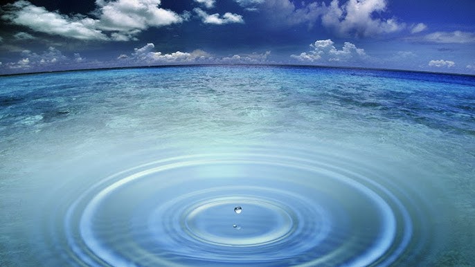 Gargotejant's tweet image. 1700 pisos, entre més de 8 milions d&apos;habitants.