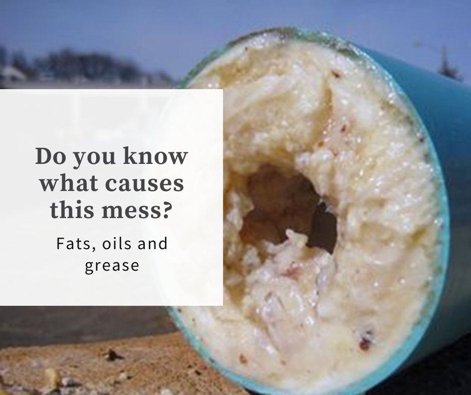DragonflyWorks's tweet photo. Holiday cooking means full plates, but it can also mean clogged pipes.
That thick, pasty buildup you see here? It’s what happens when fats, oils, and grease (also known as FOG) go down the drain instead of into the trash. https://t.co/U8gXxCjwBd