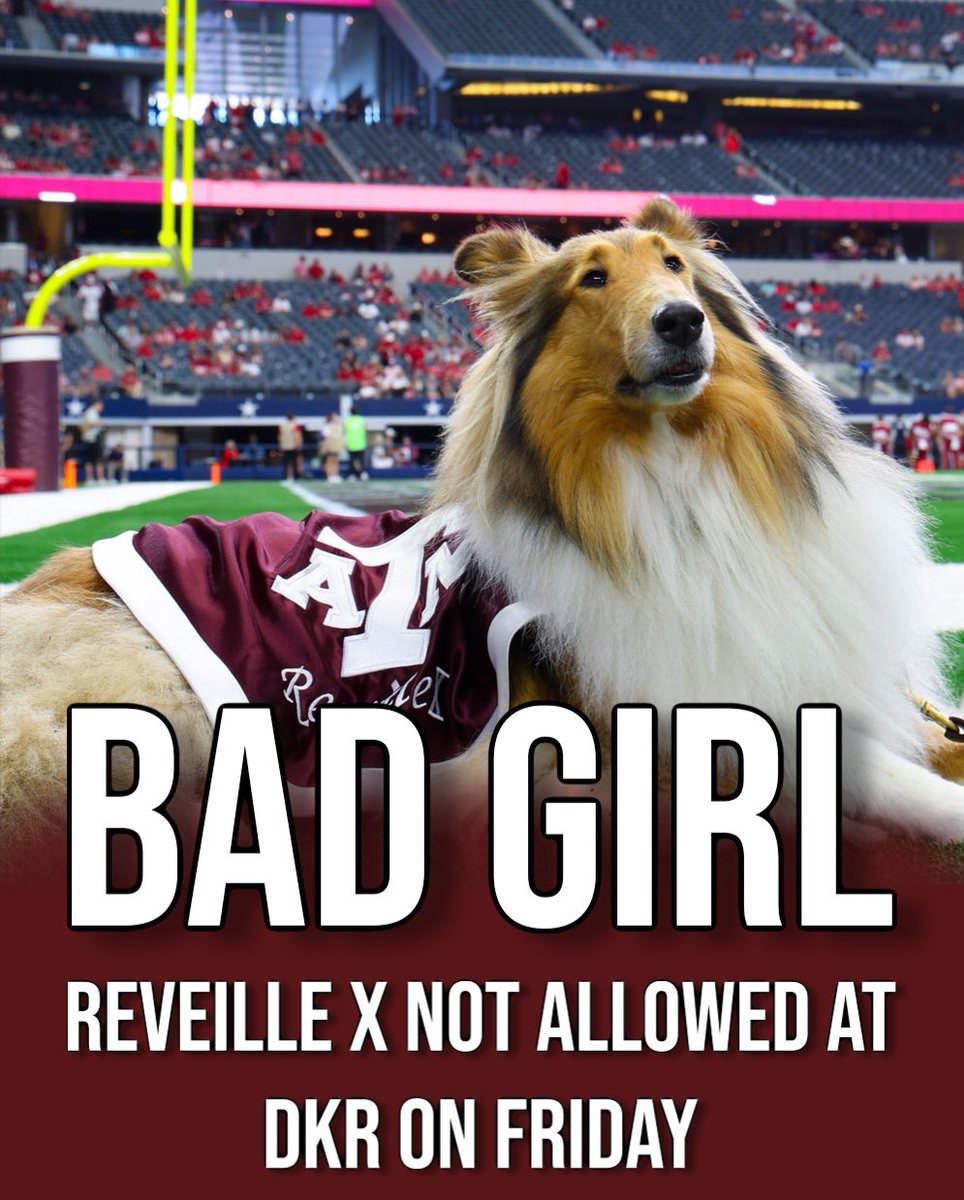 Kyle Umlang tweet media