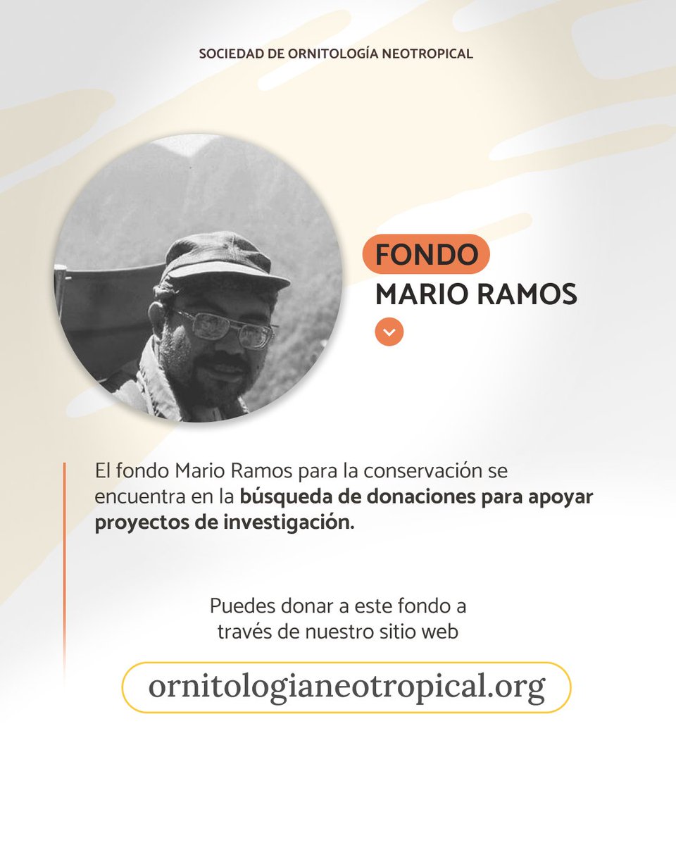 Ornitología Neotropical tweet media