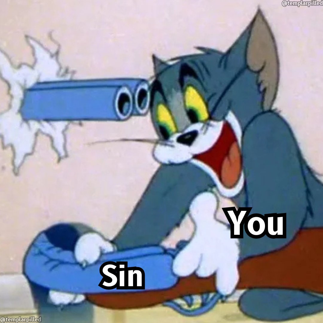 Templarpilled (@templarpilled) on Twitter photo 