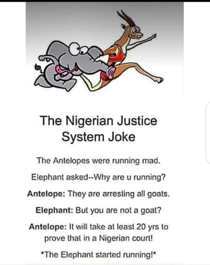 EmekaNw71110140's tweet image. #Biafra #FreeNnamdiKanu