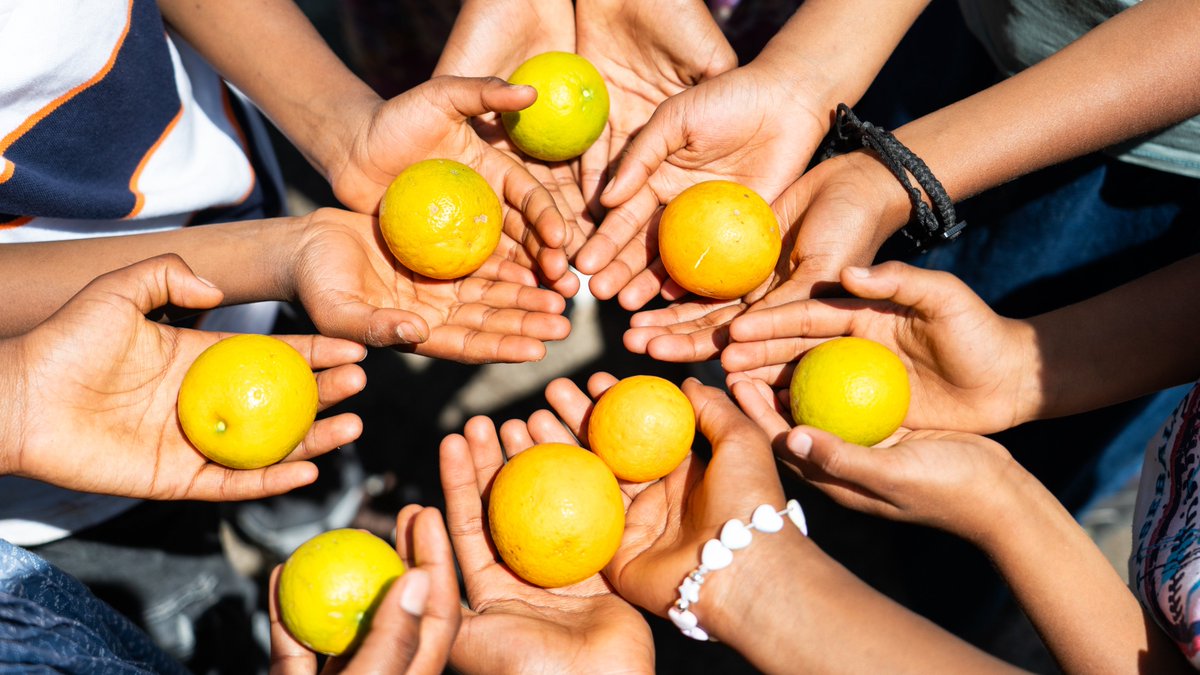 ProjectMercy's tweet image. Happy #Thanksgiving from Project Mercy!