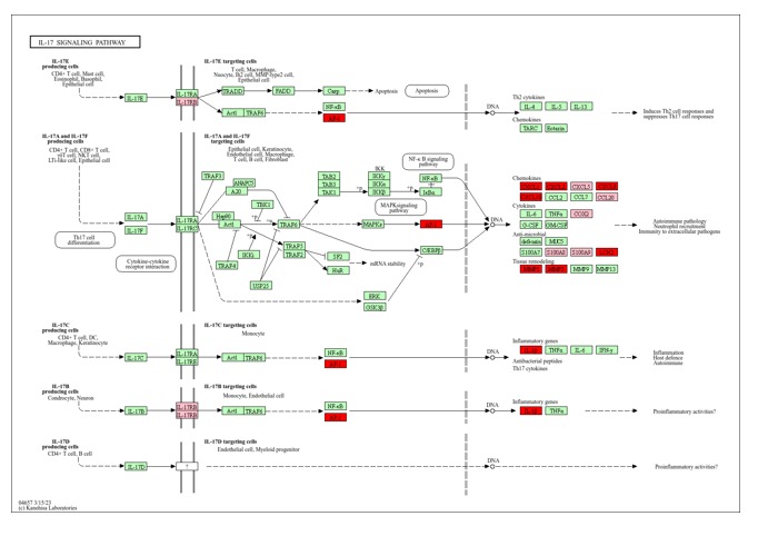 Evo_message's tweet image. 🧬 نهاية اليوم الأخير من الندوة التطبيقية في المعلوماتية الحيوية: 

#Bioinformatics #Evolution_message #GeneExpression #بحث_علمي #المعلوماتية_الحيوية