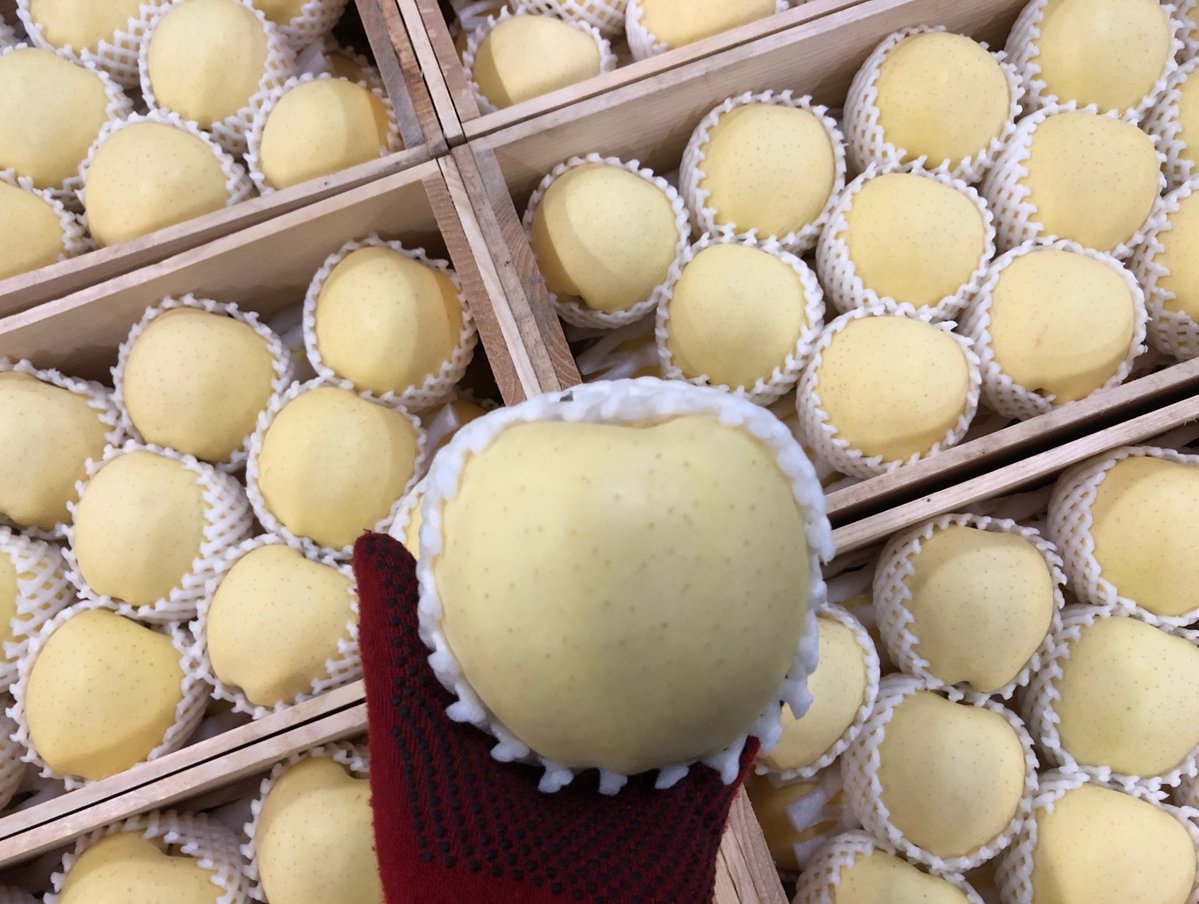 淡いクリーム色で美しい外観の #金星（きんせい）有袋品。バナナやメロンに似た独特の甘い香りがします。緻密な肉質でもっちりした食感、ジューシーで甘みが強く、香りのよさとあいまって風味は抜群です。外観と食味が一致した貴婦人のようなりんご、熱狂的なファンに支えられた隠れた人気品種です。