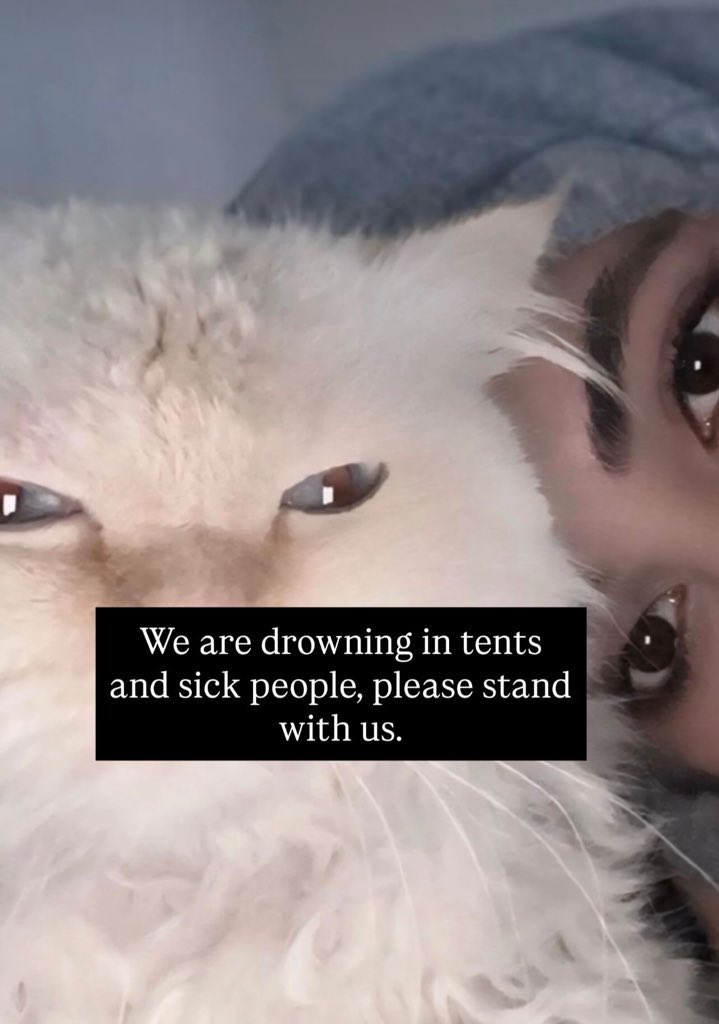 lara_abdalla1's tweet image. I will not forgive anyone who sees this post and 
does not support me with a single word and ignores me.

My cat and I need support. Please stand with us with love. AMAL NEED HELP 

gofund.me/aaf8bf91