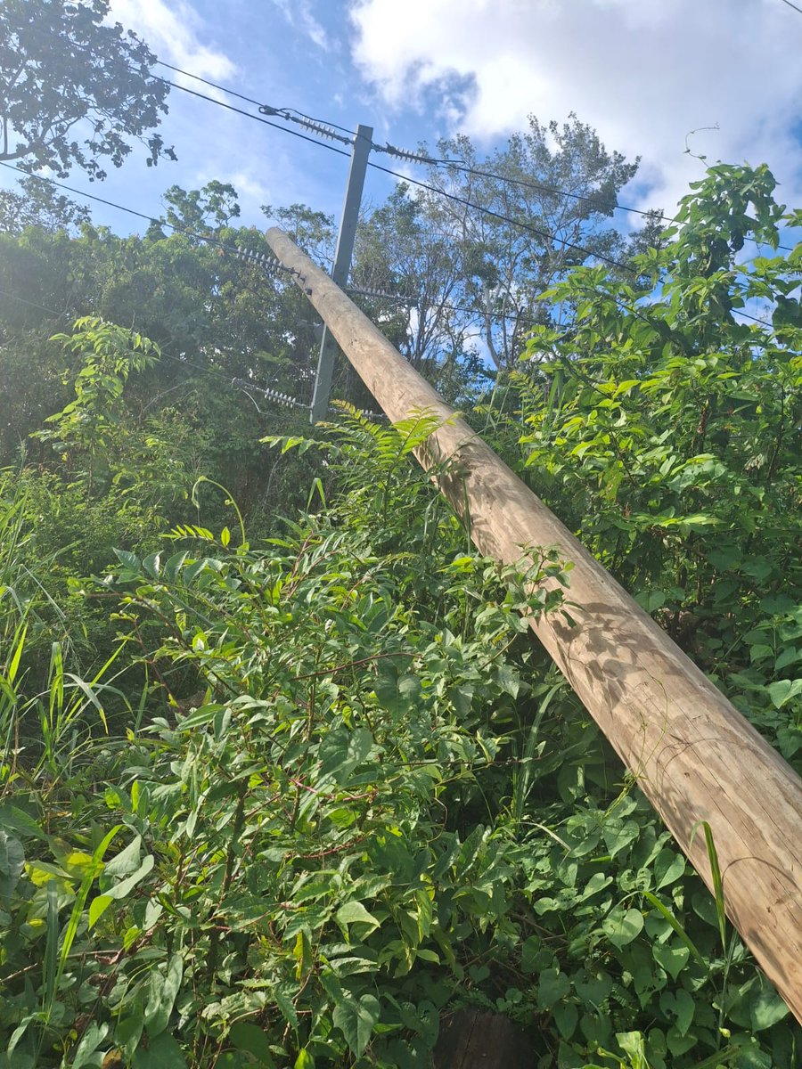 myJPSonline's tweet image. JPS sounds alarm after act of sabotage plunges newly restored St. Mary communities back into darkness.

Read More Here: 
jpsco.com/jps-sounds-ala…