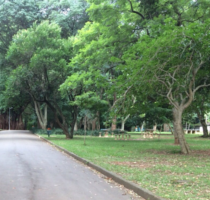 BlogPequi's tweet image. Começou a esfriar, bora pra casa!