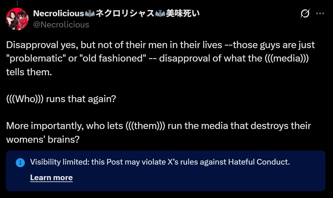 Necrolicious's tweet image. Edited to uncensor:  Disapproval yes, but not of their men in their lives --those guys are just &quot;problematic&quot; or &quot;old fashioned&quot;-- disapproval of what the media tells them.  Who runs that again?  More importantly, who lets them run the media that destroys their womens&apos; brains?