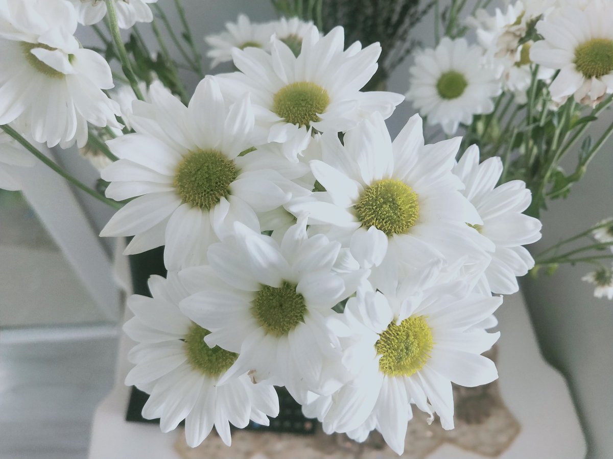 Sevgilik
Ovuşturma o gözlerini
Ellerin benim...
Şarkılar söyle bana 
Gözlerim senin...
Şimdi sendeyim;
Hadi...
Kapat gözlerini
Sakla içinde beni
Söyle ben şimdi neredeyim...
©️