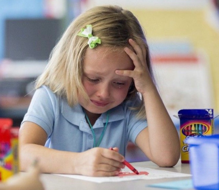 pacelli 🩺📚 tweet media