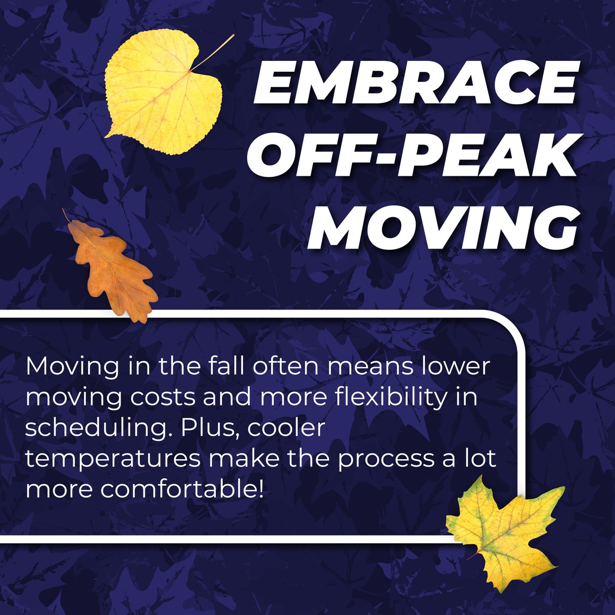 HallFinancial's tweet image. Buyer’s market season is here. 🍂 Better deals, motivated sellers, and lower moving costs — let’s get you ready with a fast preapproval.
