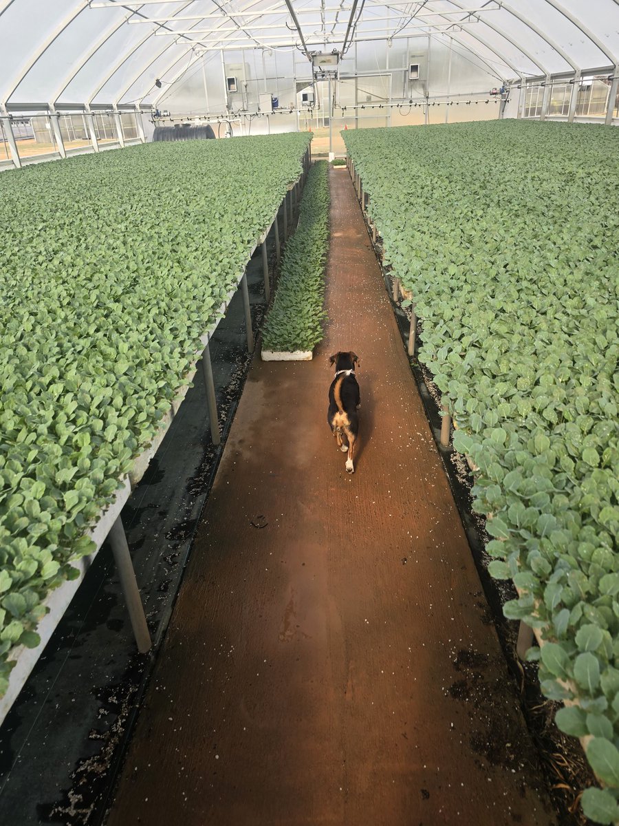 Tim Flanders tweet media