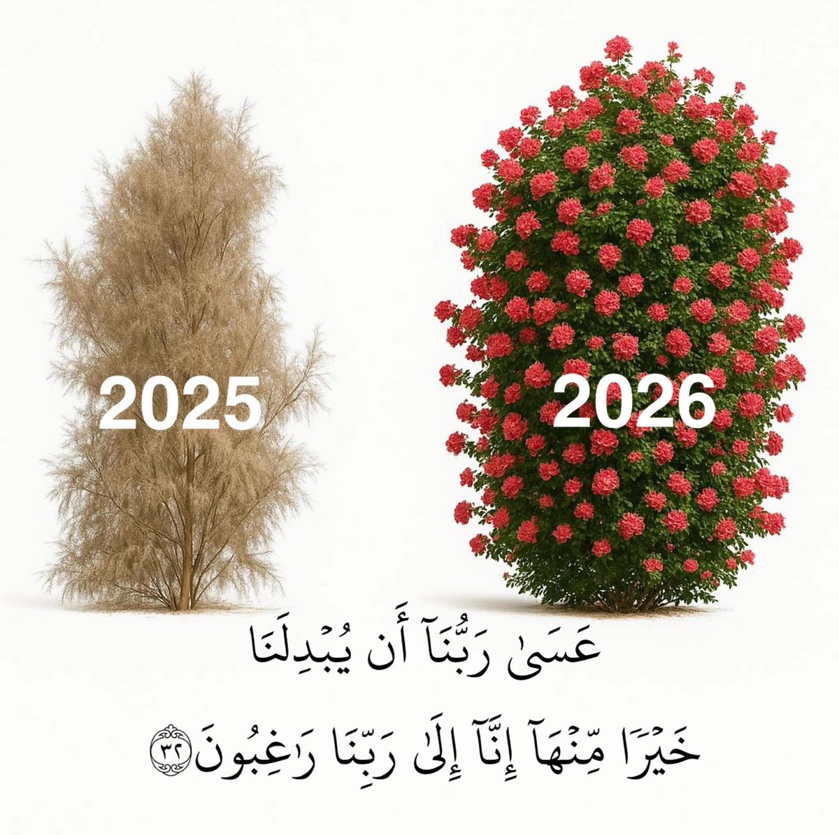 أثَّـــر (@1_nb_0) on Twitter photo 