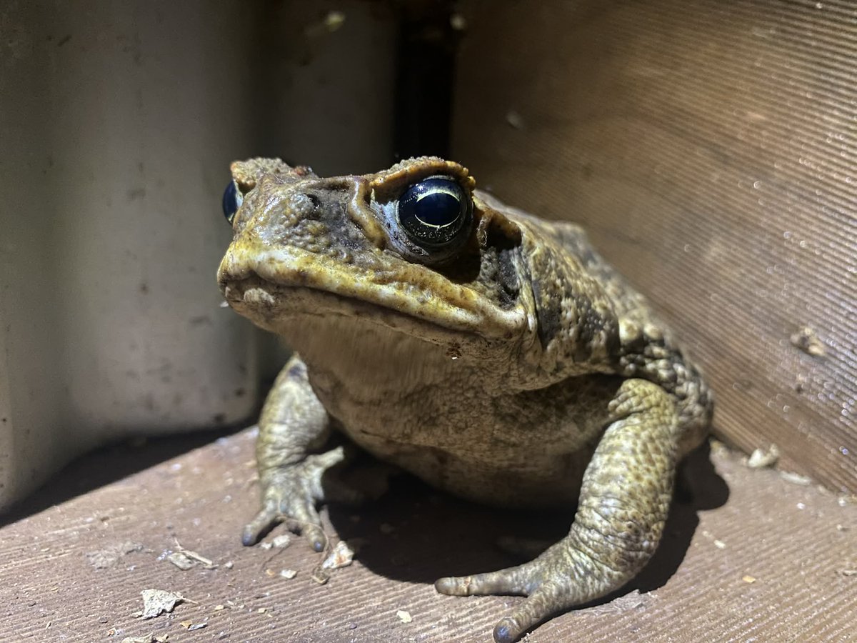 VetGurus tweet media