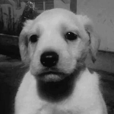 ルカム ⚽🧑‍🏫🎮 Lukam tweet media