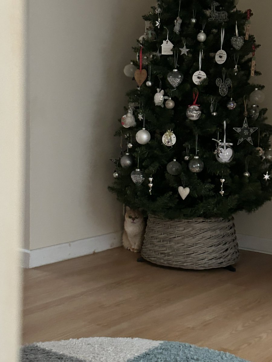 mimybug's tweet image. yuor gifte is the me , (mima type)