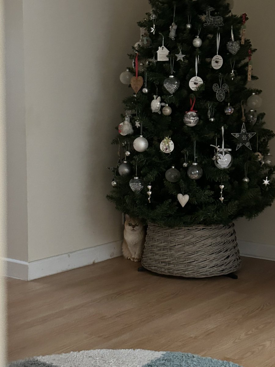 mimybug's tweet image. yuor gifte is the me , (mima type)