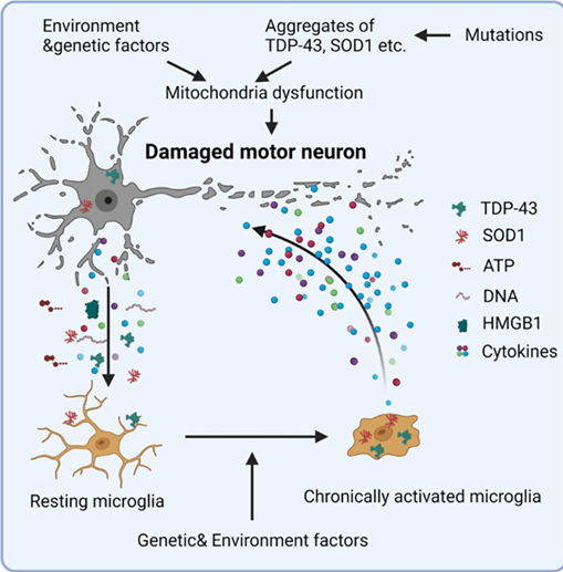 Christopher Fitzmaurice, MS, CEP, CSCS tweet media
