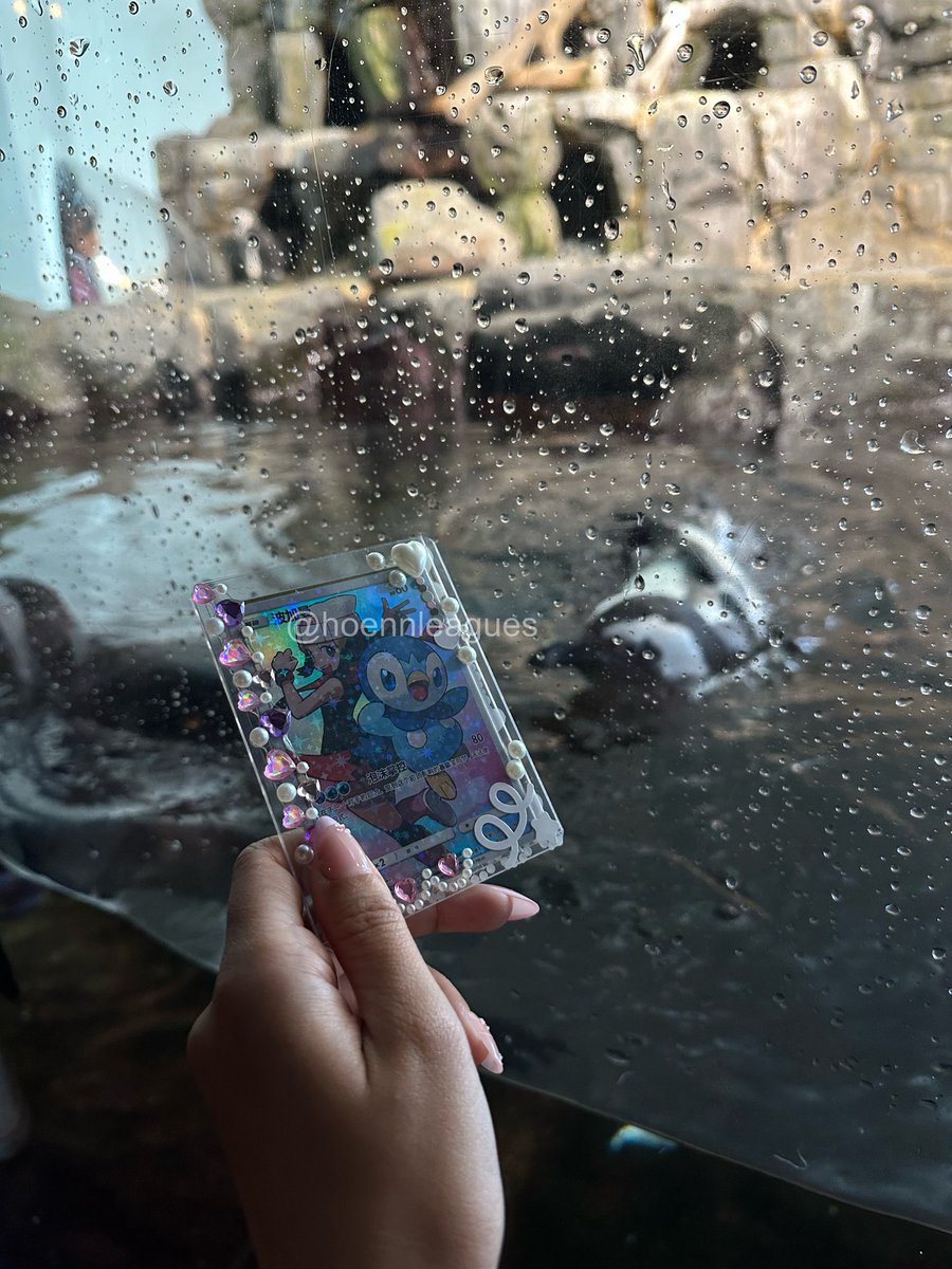 hoennleagues's tweet image. #pokemontwt #poketwt #wwmtwt #anitwt #promotwt #moothunt 
hi!!! let&apos;s be moots esp if we have the same interests 🤍 ⋆˚꩜｡

i collect #pokemontcg &amp;amp; watch #anipoke !
               → ♡ / ↻ so we can be friends ! ! !