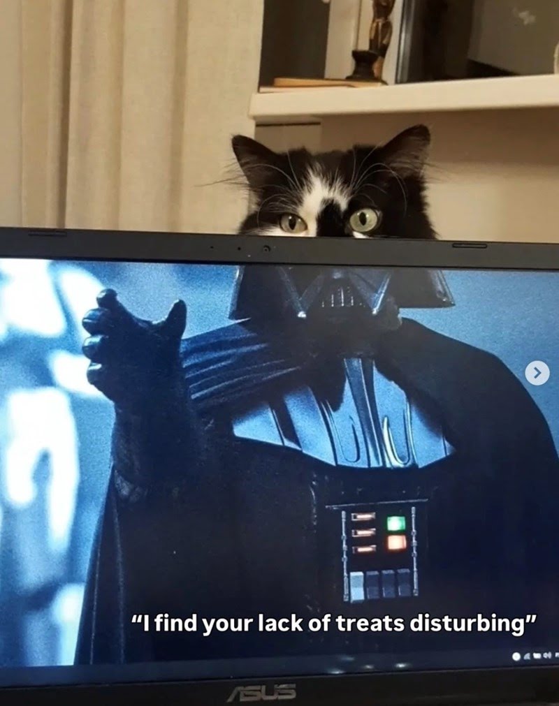 Joe 🇺🇸🤘😎🤘🇺🇲 (@ozzjoe) on Twitter photo 