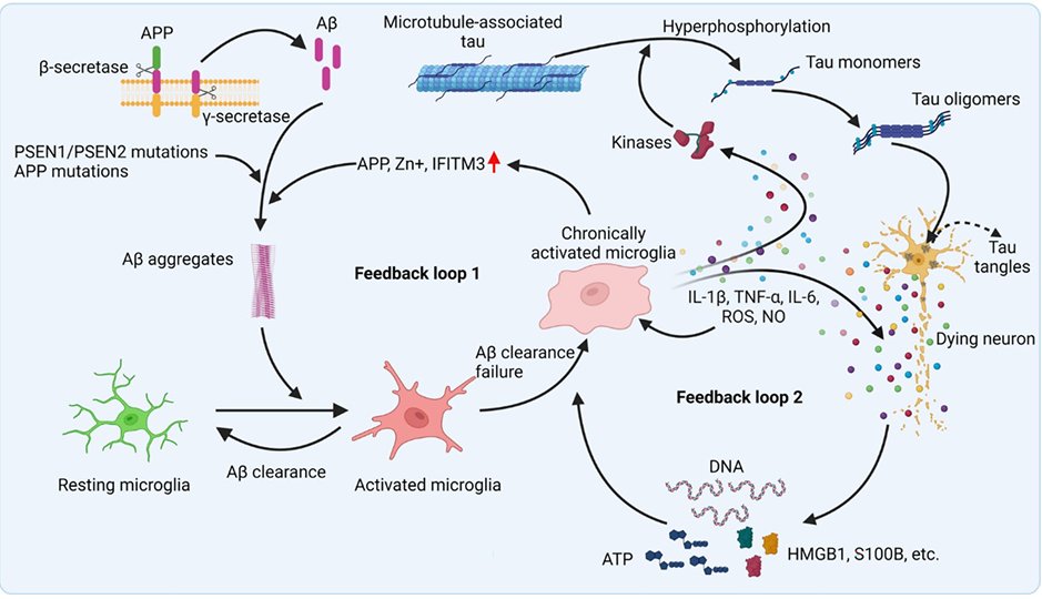 Christopher Fitzmaurice, MS, CEP, CSCS tweet media