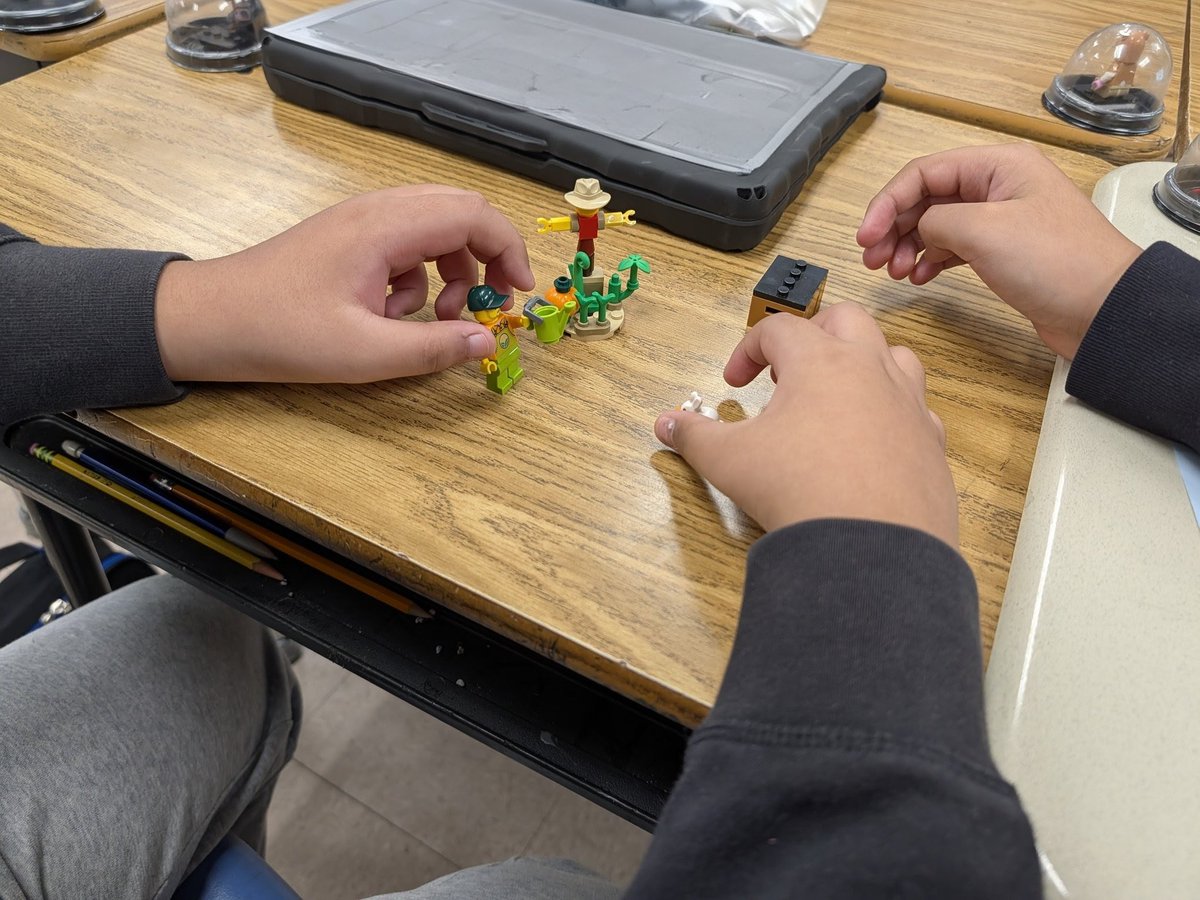 Jeannine Shields tweet media