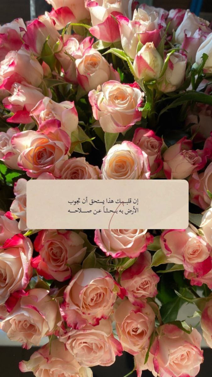••
مَن صلح قلبُه صلحت حياته ، ومن فسد قلبه فسدت حياته🌹 ••
╭┈─────── ೄྀ࿐ ˊˎ-

••╰┈➤ ❝[ <a href="/zvip14/">😍 ☚أنـاقــة حـــروف☛ 1️⃣</a> 🌸🍃] ❞