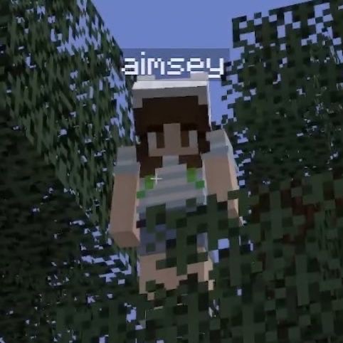 DSMPBase's tweet image. Property Brothers find Aimsey new home in Snowchester, turning it into a wonderful place

“I’m pissed” Leader of Snowchester Tubbo responds