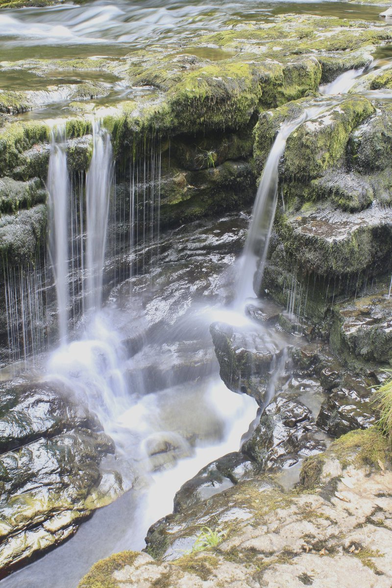 CascadeCumbria tweet media