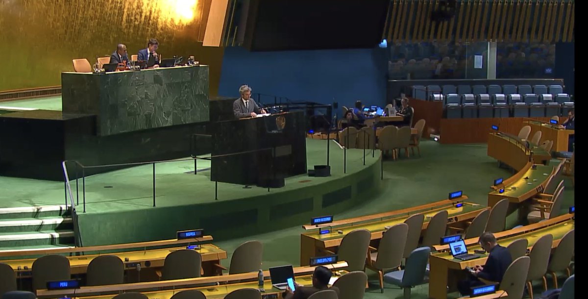 dabesad's tweet image. At #UNGA debate on #HRC report, highlighted: 
- importance of unanimously adopted #HRC60 resolution on “Cooperation with Georgia” &amp;amp; thanked all supporters&amp;amp;co-sponsors;
- Russia’s continued illegal occupation of 🇬🇪’s Abkhazia and Tskhinvali regions, violating international law.