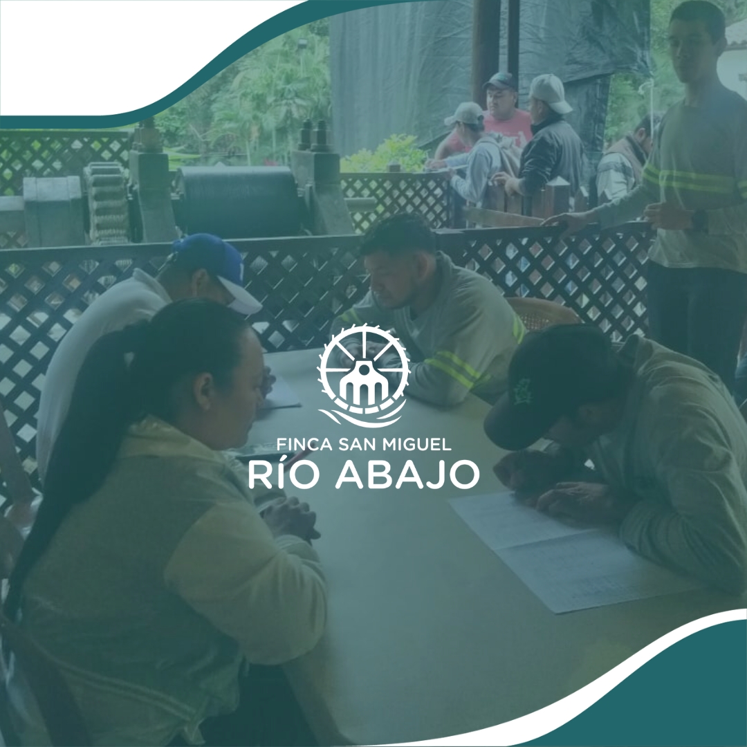 Por ello, realizamos una exitosa jornada de vacunación contra la influenza para que todo nuestro equipo esté protegido y evitar enfermedades. 👍🏼

#FincaSanMiguelRíoAbajo #SaludYBienestar #Vacunación #Prevención