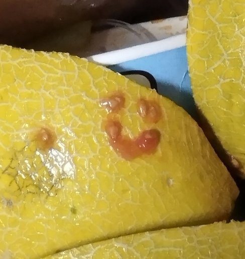 כן זאת תמונה מהפח אבל זה כזה חמוד הייתי חייבת😭