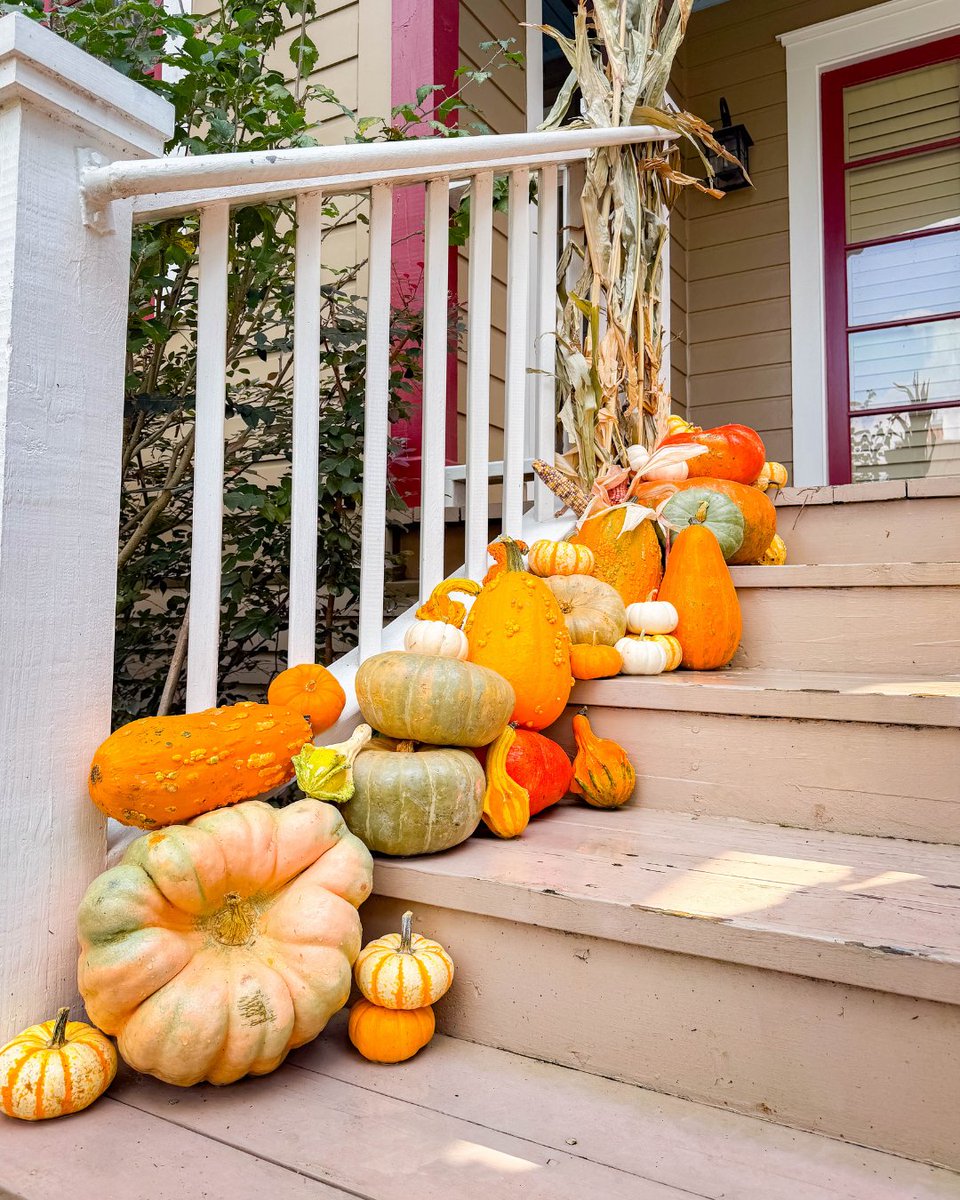 This beautiful home already had all the autumn charm with its maroon trim... the pumpkins just made it even more fall! 🍂 Looks like the front porch of a Thanksgiving Hallmark movie. 🧡🎬

#FallDecor #FallLandscapes #HoustonLandscape #LuxuryLandscape #CurbAppeal #OutdoorLiving