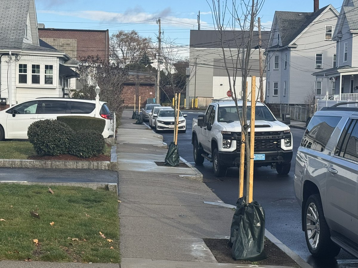 547 is the final number of trees planted in 2025 in <a href="/TheCityofMalden/">City of Malden</a> and that was all made possible thanks to <a href="/MaldenTrees/">Christopher Rosa</a>, <a href="/RknoxJr/">Robert P. Knox Jr.</a>, and <a href="/MassDCR/">MassDCR</a>!