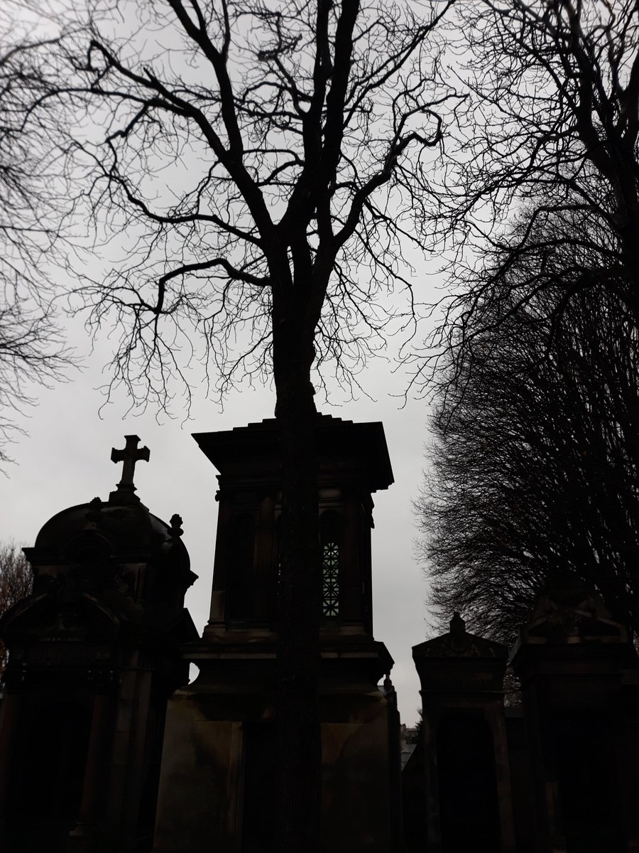 Dreamheadz's tweet image. I often wander through
graveyards
wondering about
lives gone by
the living separated
from those they once loved
so many memories locked
in a place of reflection
filled with silence and eternal repose
#vss365 #reflection