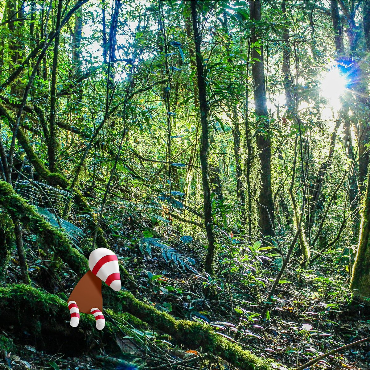 Bazan_fort4ever's tweet image. little fella taking a break from everything #signalis